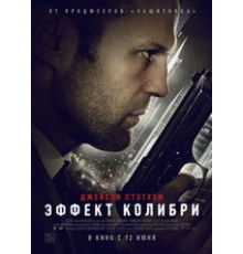 Эффект колибри (2012)